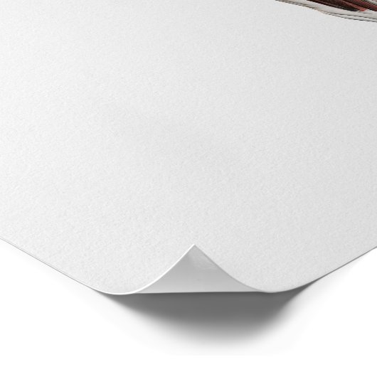 Anatomie van het spierstelsel van mannen, zij Uitz Poster (Hoek)