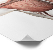 Anatomie van het spierstelsel van mannen, zij Uitz Poster (Hoek)