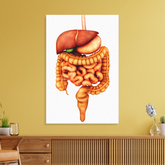 Anatomie van het spijsverteringsstelsel voor de me canvas afdruk (Insitu (Woonkamer))