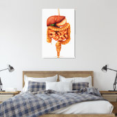 Anatomie van het spijsverteringsstelsel voor de me canvas afdruk (Insitu (Slaapkamer))