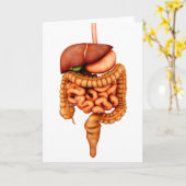 Anatomie van het spijsverteringsstelsel voor de me kaart (Gele Bloem)