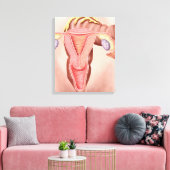 Anatomie van het voortplantingsstelsel van Vrouwen Canvas Afdruk (Insitu (Woonkamer))