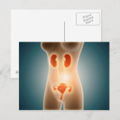 Anatomie van het Vrouw met voortplantingsorganen Briefkaart (Voorkant / Achterkant)