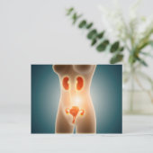 Anatomie van het Vrouw met voortplantingsorganen Briefkaart (Staand voorkant)