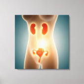 Anatomie van het Vrouw met voortplantingsorganen Canvas Afdruk (Voorkant)