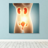 Anatomie van het Vrouw met voortplantingsorganen Canvas Afdruk (Insitu (Houten vloer))