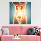 Anatomie van het Vrouw met voortplantingsorganen Canvas Afdruk (Insitu (Woonkamer))