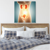 Anatomie van het Vrouw met voortplantingsorganen Canvas Afdruk (Insitu (Slaapkamer))