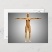 Anatomie van het Vrouw met zenuwstelsel Briefkaart (Voorkant / Achterkant)