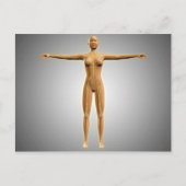 Anatomie van het Vrouw met zenuwstelsel Briefkaart (Voorkant)