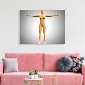 Anatomie van het Vrouw met zenuwstelsel Canvas Afdruk (Insitu (Woonkamer))