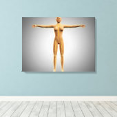 Anatomie van het Vrouw met zenuwstelsel Canvas Afdruk (Insitu (Houten vloer))