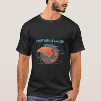 Anatomie van Hu-spier voor medisch T-shirt