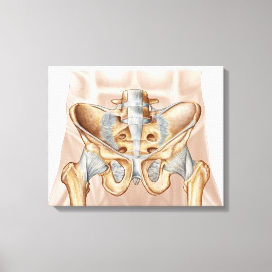 Anatomie van humaan bekkenbeen en ligamenten canvas afdruk (Voorkant)