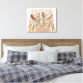 Anatomie van humaan bekkenbeen en ligamenten canvas afdruk (Insitu (Slaapkamer))