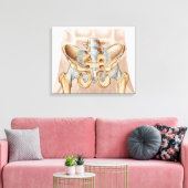 Anatomie van humaan bekkenbeen en ligamenten canvas afdruk (Insitu (Woonkamer))