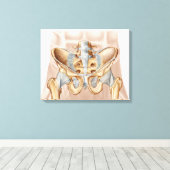 Anatomie van humaan bekkenbeen en ligamenten canvas afdruk (Insitu (Houten vloer))