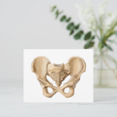 Anatomie van humaan bekkenbot 1 briefkaart (Staand voorkant)