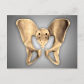 Anatomie van humaan bekkenbot 2 briefkaart (Voorkant)