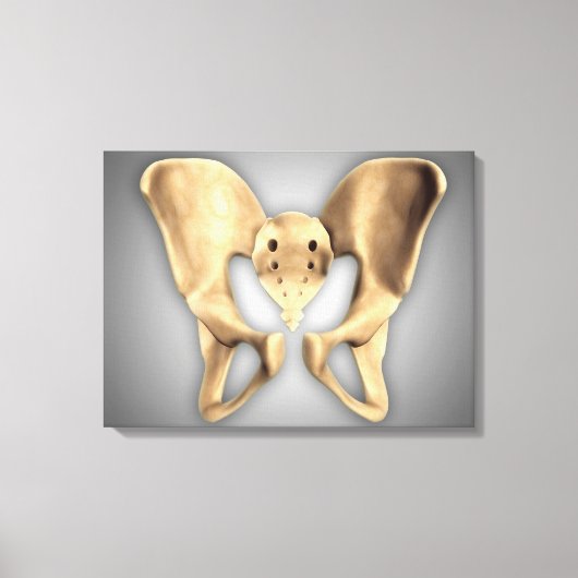 Anatomie van humaan bekkenbot 2 canvas afdruk (Voorkant)
