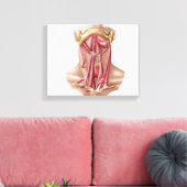 Anatomie van humane Hyoïd bot- en nekspieren Canvas Afdruk (Insitu (Woonkamer))