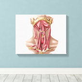 Anatomie van humane Hyoïd bot- en nekspieren Canvas Afdruk (Insitu (Houten vloer))