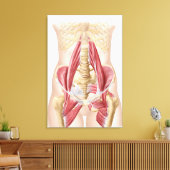 Anatomie van Iliopsoa, de dorsale heupspieren Canvas Afdruk (Insitu (Woonkamer))
