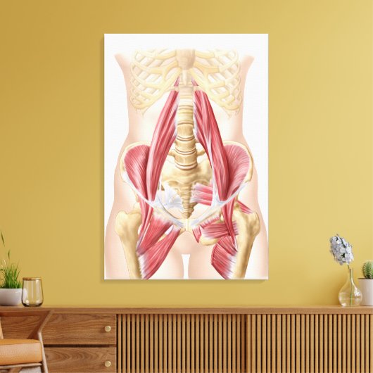 Anatomie van Iliopsoa, de dorsale heupspieren Canvas Afdruk (Insitu (Woonkamer))