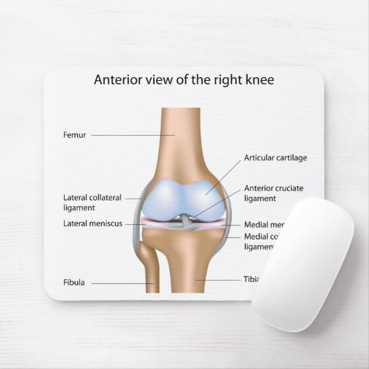 Anatomie van kniegewricht Mousepad Muismat (Met muis)