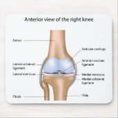 Anatomie van kniegewricht Mousepad Muismat (Voorkant)
