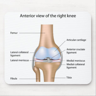 Anatomie van kniegewricht Mousepad Muismat