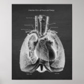 Anatomie van Lungs Hart Anterior Uitzicht Poster (Voorkant)