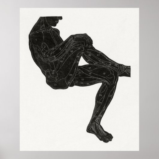 Anatomie van man 3 poster (Voorkant)