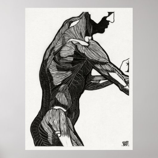 Anatomie van man 4 poster (Voorkant)