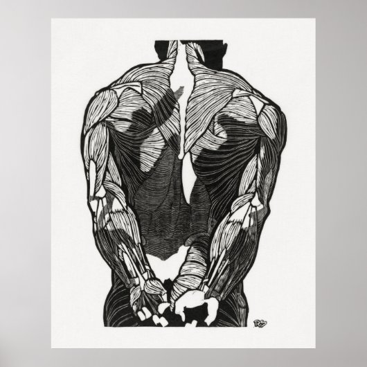 Anatomie van man 5 poster (Voorkant)