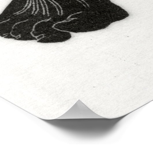 Anatomie van man 6 poster (Hoek)