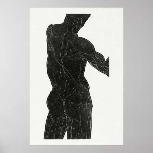 Anatomie van man poster (Voorkant)