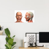 Anatomie van mannelijke hoofdspieren in verschille poster (Thuiskantoor)