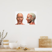 Anatomie van mannelijke hoofdspieren in verschille poster (Keuken)