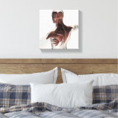 Anatomie van mannelijke spieren in bovenlichaam 1 canvas afdruk (Insitu (Slaapkamer))