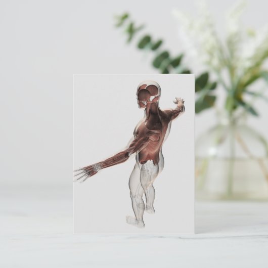 Anatomie van mannelijke spieren in bovenlichaam 2 briefkaart (Staand voorkant)