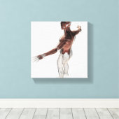 Anatomie van mannelijke spieren in bovenlichaam 2 canvas afdruk (Insitu (Houten vloer))