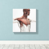 Anatomie van mannelijke spieren in bovenlichaam, v canvas afdruk (Insitu (Houten vloer))