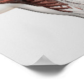 Anatomie van mannelijke spieren in bovenlichaam, v poster (Hoek)