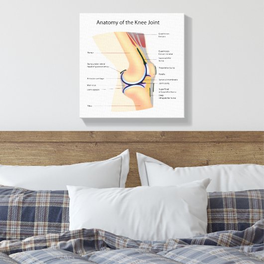Anatomie van menselijk kniegewricht canvas afdruk (Insitu (Slaapkamer))