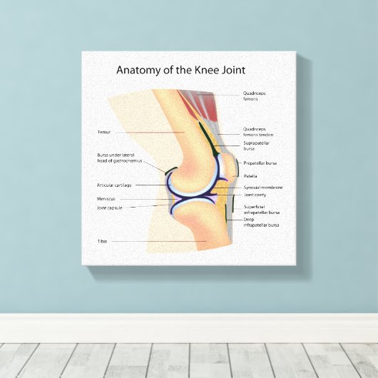 Anatomie van menselijk kniegewricht canvas afdruk (Insitu (Houten vloer))