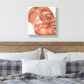 Anatomie van menselijke gezichtsspieren canvas afdruk (Insitu (Slaapkamer))