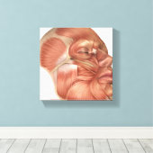 Anatomie van menselijke gezichtsspieren canvas afdruk (Insitu (Houten vloer))