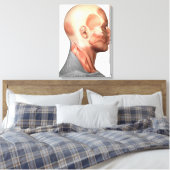 Anatomie van menselijke gezichtsspieren, zijdeling canvas afdruk (Insitu (Slaapkamer))