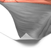 Anatomie van menselijke gezichtsspieren, zijdeling poster (Hoek)